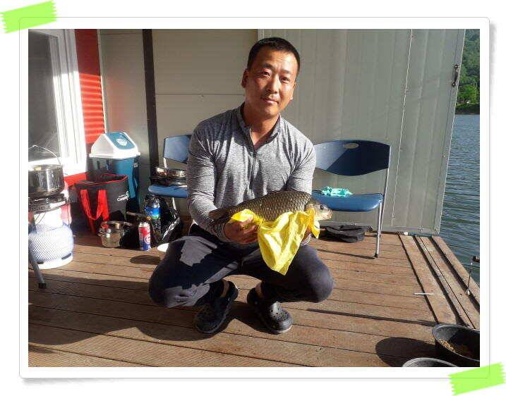 양평낚시터 붕어낚시 수곡낚시터 붕어 조황 꾸준히 잘 나와줍니다 오늘도 붕어 추가방류 합니다 (유료터정보 - 유료터점주조황)