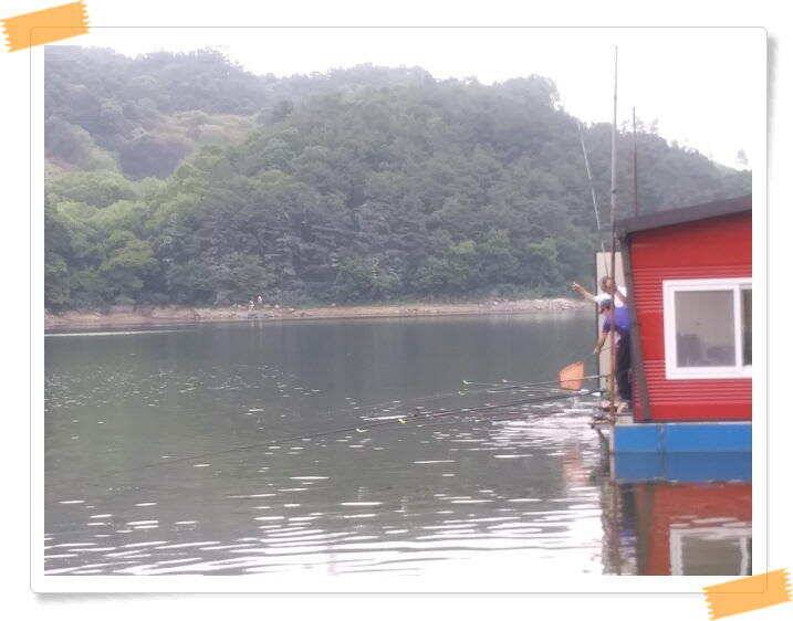 양평 수곡 낚시터오늘도 낮시간 붕어조황 계속 이어지네요 6월26일 조황 안내 (유료터정보 - 유료터점주조황)