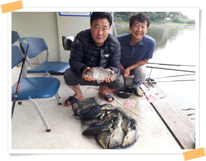 양평낚시터 힐링 수곡낚시터 주말조황 괜찬습니다 주말 붕어방류 조황안내 (유료터정보 - 유료터점주조황)