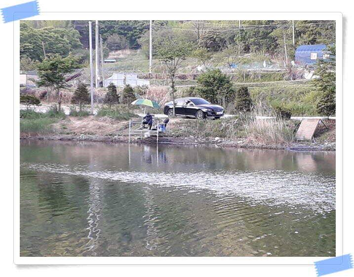 양평수곡낚시터 주중조황 5월8일 그래도 붕어들이 나와주네요 (유료터정보 - 유료터점주조황)