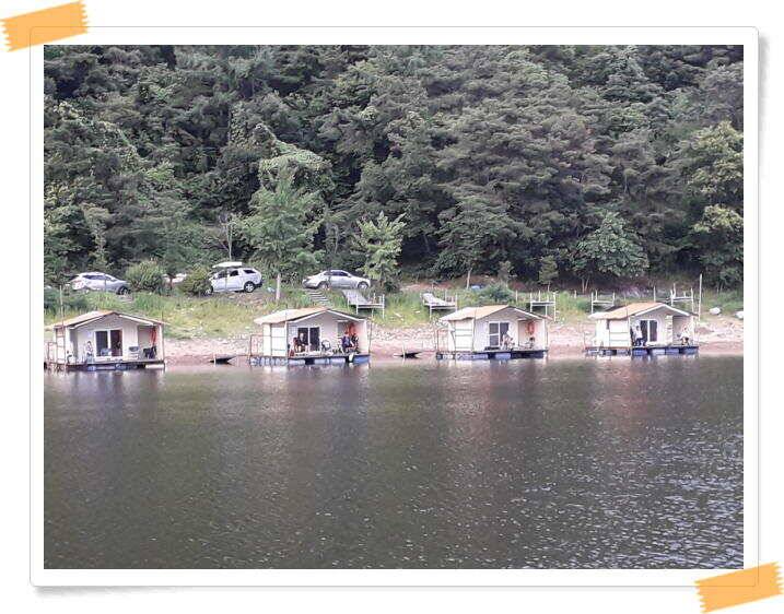 수곡낚시터 붕어조황 7월13일 더 좋은 조과가 이어집니다 오늘도 붕어방류 합니다 (유료터정보 - 유료터점주조황)