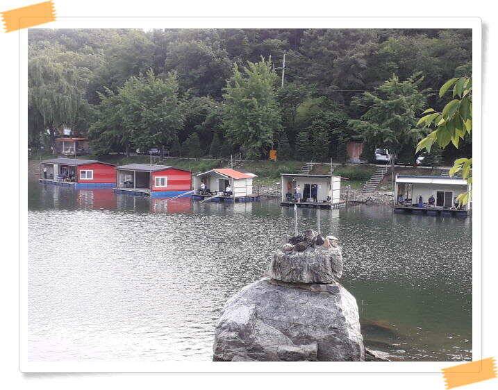 붕어낚시 수곡낚시터 씨알도 마릿수도 더욱 좋아졌습니다 6월5일 (유료터정보 - 유료터점주조황)