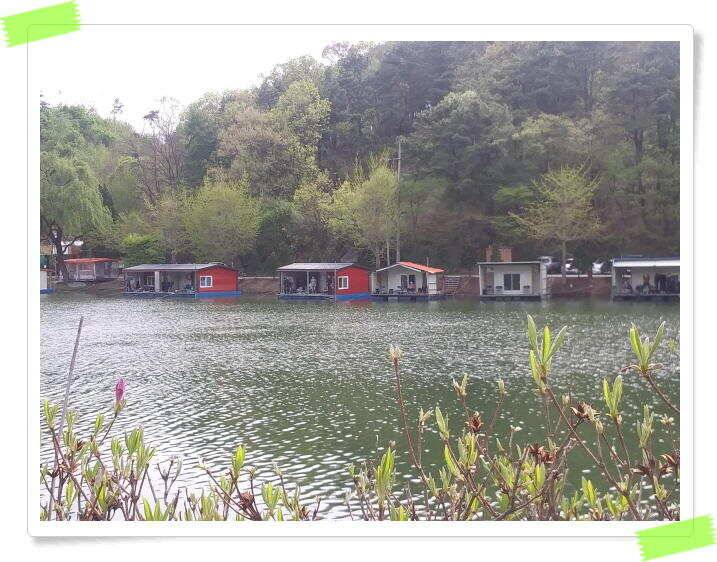 양평 수곡낚시터 주말 일요일 조황이 더 좋아졌네요 (유료터정보 - 유료터점주조황)