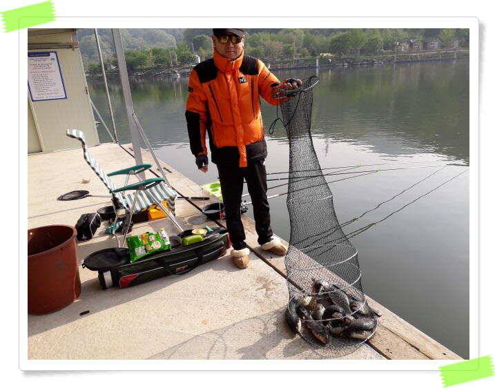 수곡낚시터 붕어낚시 주중5월9일조황 더 좋습니다 금일 붕어 대량방류 예정 (유료터정보 - 유료터점주조황)
