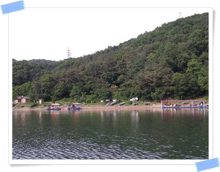 붕어낚시 양평 수곡낚시터 주말 조황 및 붕어 방류 안내 (유료터정보 - 유료터점주조황)