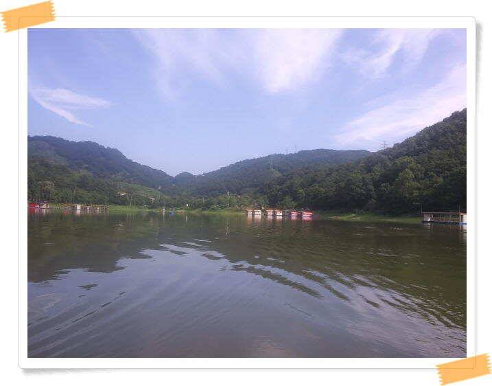 민물낚시 피서낚시 붕어낚시 좌대낚시 노지낚시 양평 힐링 수곡낚시터 붕어방류 조황 안내 8월3일 (유료터정보 - 유료터점주조황)