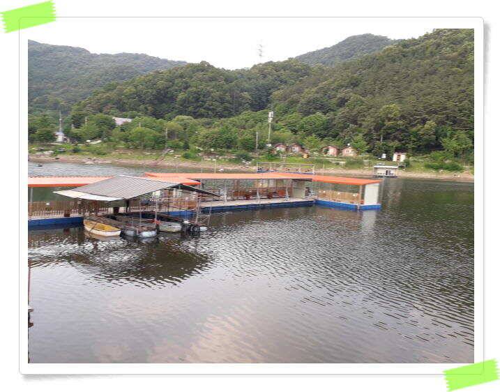 수곡낚시터 7월2일 붕어방류 및 노지잔교 수상좌대 이동 배치 완료 (유료터정보 - 유료터점주조황)