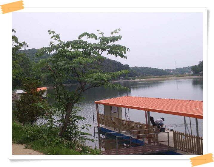 붕어낚시 수곡낚시터 연이은 붕어 대박조황5월18일 및 축양붕어 추가 방류 소식 (유료터정보 - 유료터점주조황)