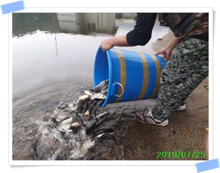 좌대낚시 노지낚시 양평 수곡낚시터 단비에 오름수위가 좋습니다 토요일에도 붕어방류 합니다 (유료터정보 - 유료터점주조황)