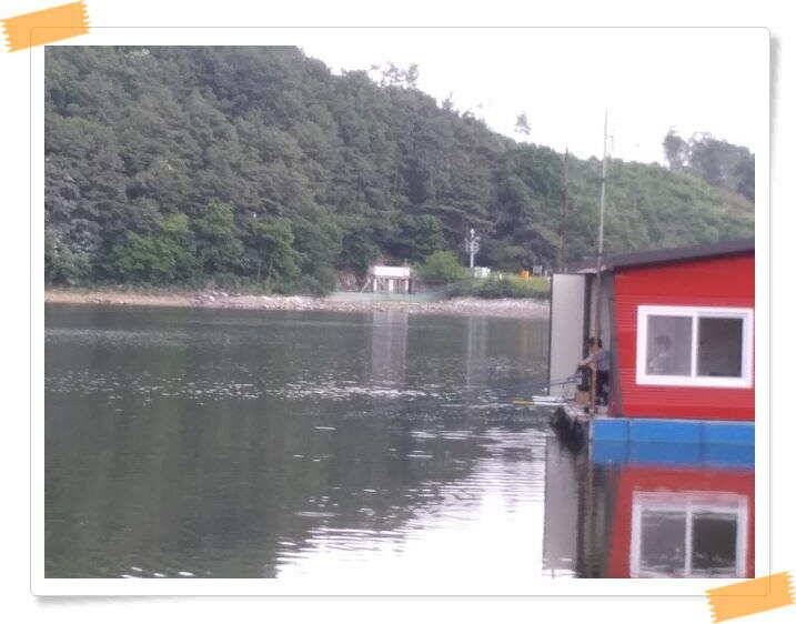 수곡낚시터 붕어낚시 조황 꾸준하게 나와줍니다 6월18일 조황 안내드립니다 (유료터정보 - 유료터점주조황)