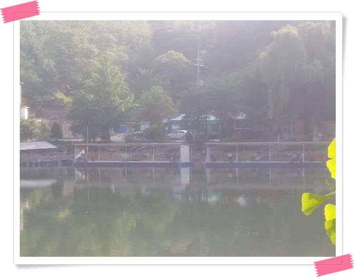 양평 수곡낚시터 주말 조황및 스케치 (유료터정보 - 유료터점주조황)