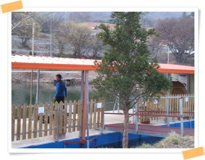 수곡낚시터 붕어낚시 조황 꾸준합니다4월 12일 (유료터정보 - 유료터점주조황)