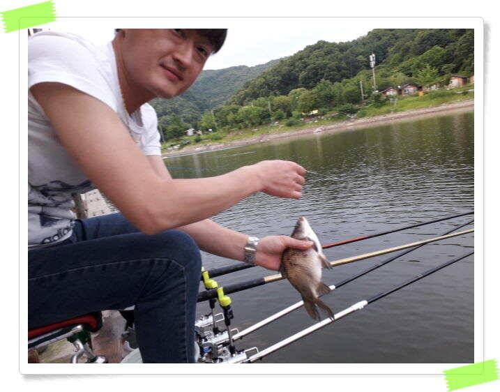 수곡낚시터 붕어조황 7월13일 더 좋은 조과가 이어집니다 오늘도 붕어방류 합니다 (유료터정보 - 유료터점주조황)