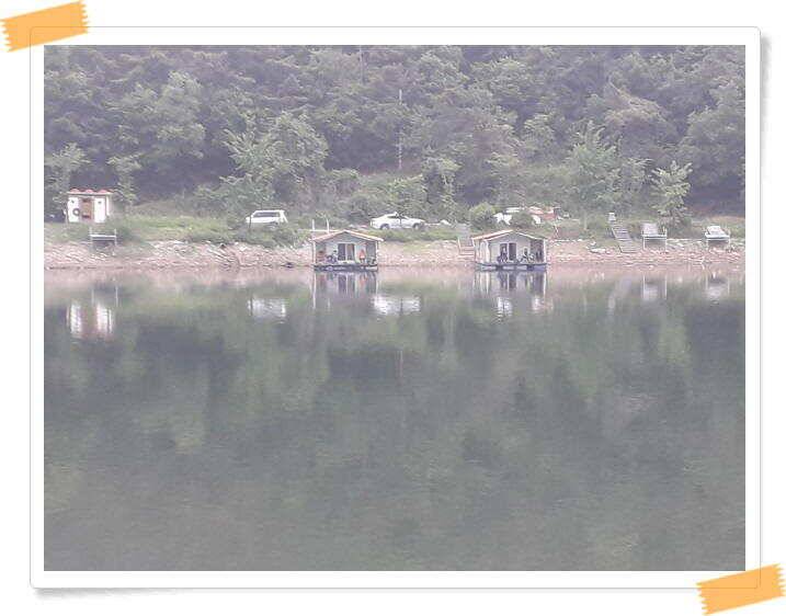 붕어낚시 수곡낚시터 씨알도 마릿수도 더욱 좋아졌습니다 6월5일 (유료터정보 - 유료터점주조황)