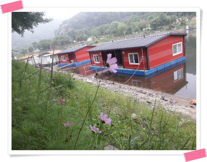 양평 수곡낚시터 오늘도 오전부터 붕어들이 계속나오면서 꾸준한 조황이 이어집니다 (유료터정보 - 유료터점주조황)