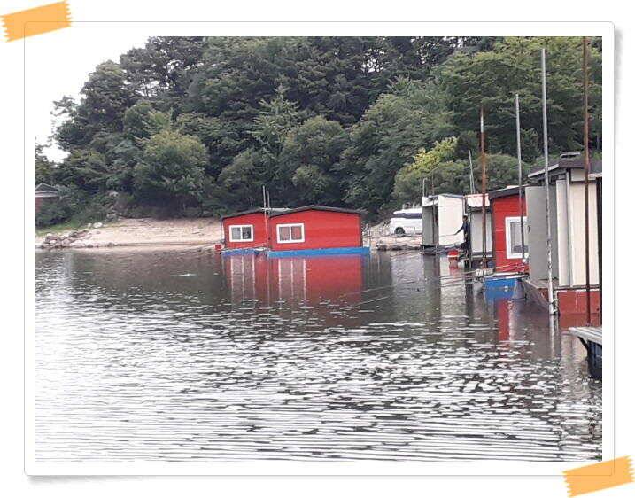 수곡낚시터 붕어조황 7월13일 더 좋은 조과가 이어집니다 오늘도 붕어방류 합니다 (유료터정보 - 유료터점주조황)