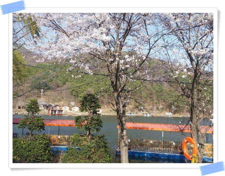 수곡낚시터 4월세째주 주중 조황 안내4월 16일 (유료터정보 - 유료터점주조황)