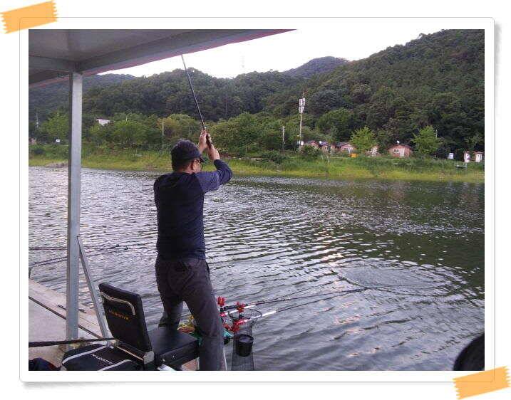 민물낚시 힐링 양평 수곡낚시터 호조황속 대박조황이 나와주네요 오늘도 붕어방류 완료했습니다 (유료터정보 - 유료터점주조황)