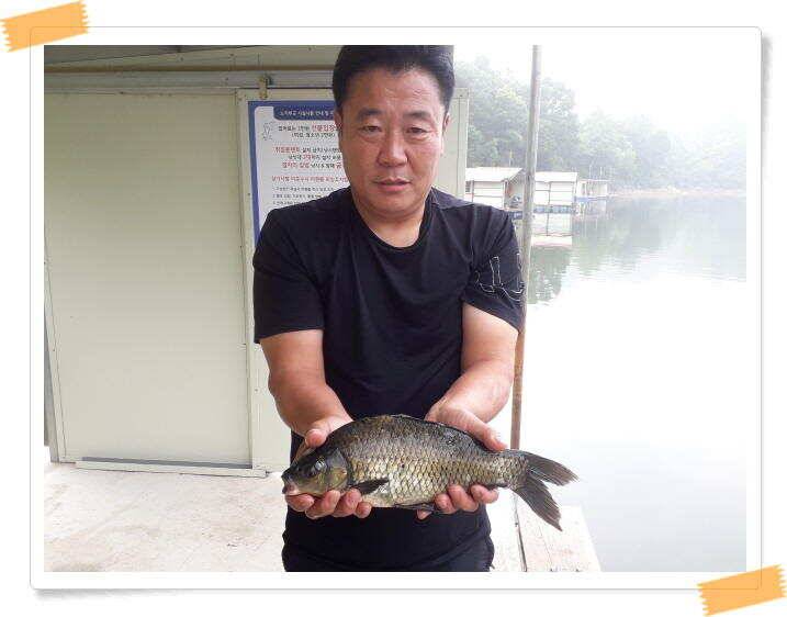 양평 수곡낚시터 낮시간부터 붕어들이 나와주며 꾸준하네요 오늘도 붕어방류 합니다 (유료터정보 - 유료터점주조황)