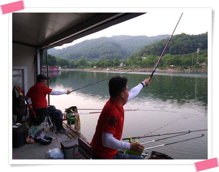 수곡낚시터 붕어방류 및 붕어조황 더 좋아지고 있습니다 (유료터정보 - 유료터점주조황)
