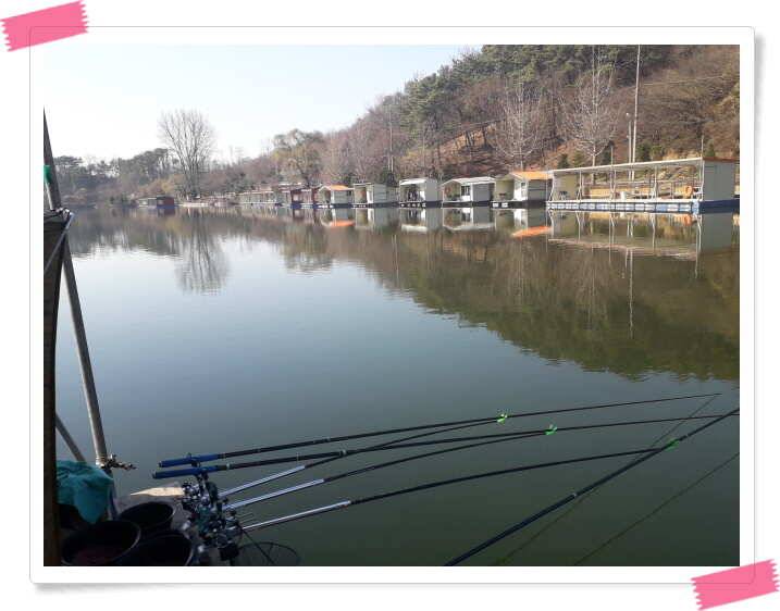 수곡낚시터 붕어들이 꾸준히 나와줍니다 (유료터정보 - 유료터점주조황)