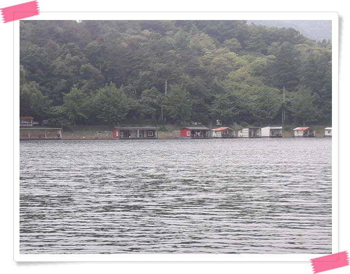 양평낚시터 붕어낚시 수곡낚시터 붕어 조황 꾸준히 잘 나와줍니다 오늘도 붕어 추가방류 합니다 (유료터정보 - 유료터점주조황)