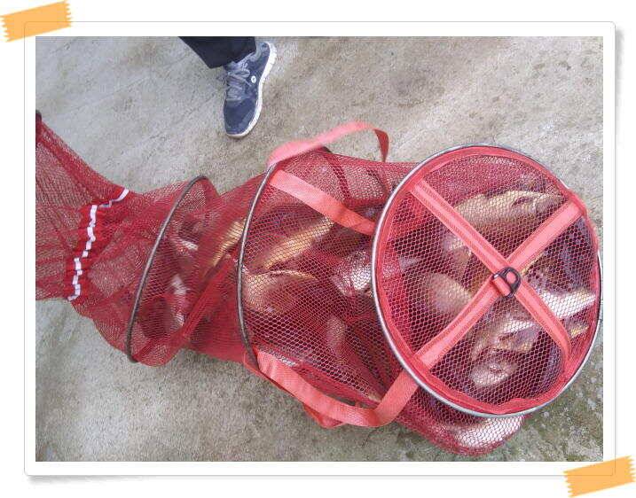 양평 수곡낚시터 주말 조황도 좋았으며 늦은밤 새벽시간에 더 좋았네요 (유료터정보 - 유료터점주조황)