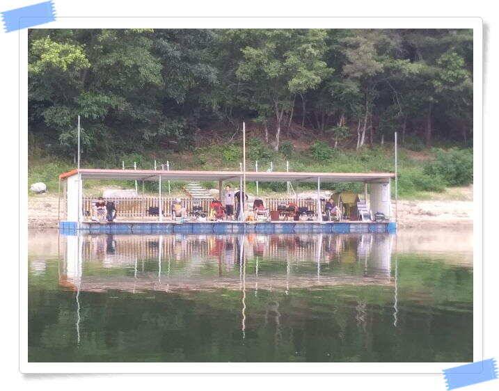 힐링 수곡낚시터 주말 붕어방류 및 조황 안내 (유료터정보 - 유료터점주조황)