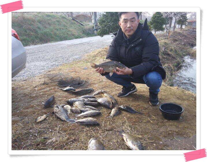수곡낚시터 금요일토요일 조황 및 붕어 방류 (유료터정보 - 유료터점주조황)