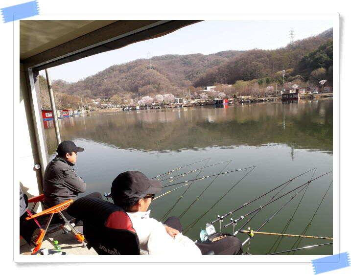 양평 수곡낚시터 토종 대물 4짜 포함 조황이 좋았습니다 (유료터정보 - 유료터점주조황)