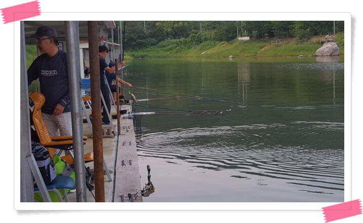민물낚시 양평 수곡낚시터 주말도 일요일도 전체적으로 고르고 꾸준한 조황이 나와주었네요 (유료터정보 - 유료터점주조황)