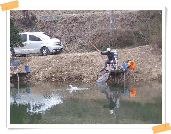 붕어낚시 수곡낚시터 주중 조황4월9일 안내 (유료터정보 - 유료터점주조황)