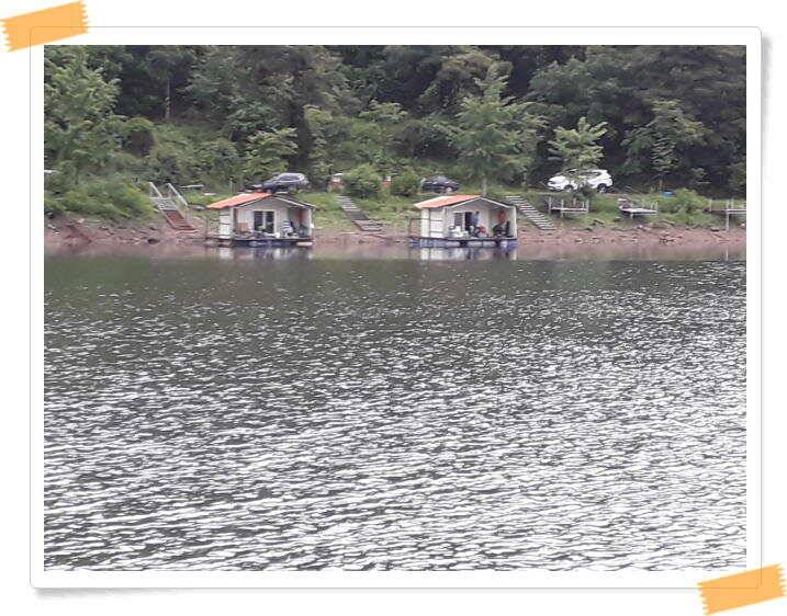 붕어낚시 양평 수곡 낚시터 일요일도 붕어낚시 조황 꾸준합니다 (유료터정보 - 유료터점주조황)