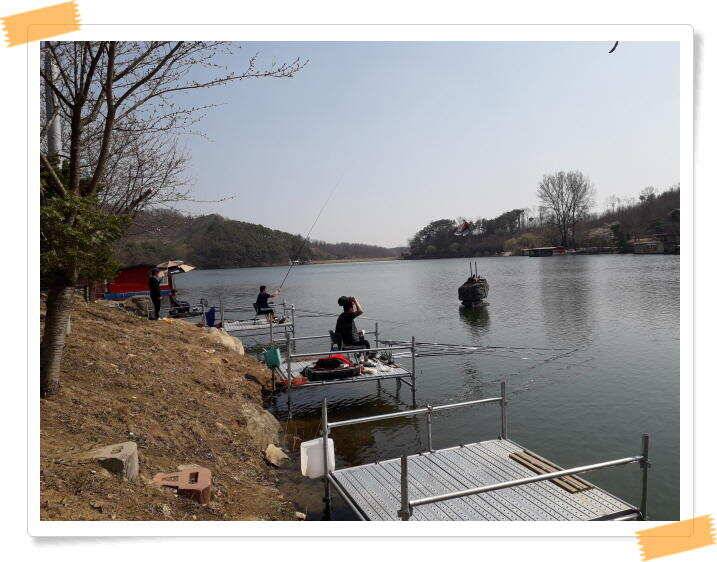 수곡낚시터 주말 조황4월둘째주 및 붕어 방류 (유료터정보 - 유료터점주조황)