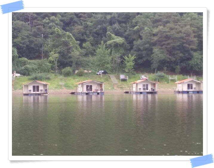 붕어낚시 힐링 양평 수곡낚시터 7월 25일 조황 및 붕어 방류 안내드립니다 (유료터정보 - 유료터점주조황)