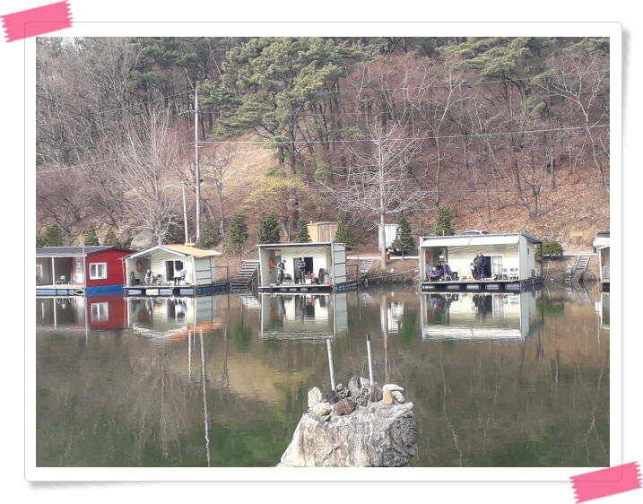 수곡낚시터 붕어조황 소식 4월 6일 (유료터정보 - 유료터점주조황)