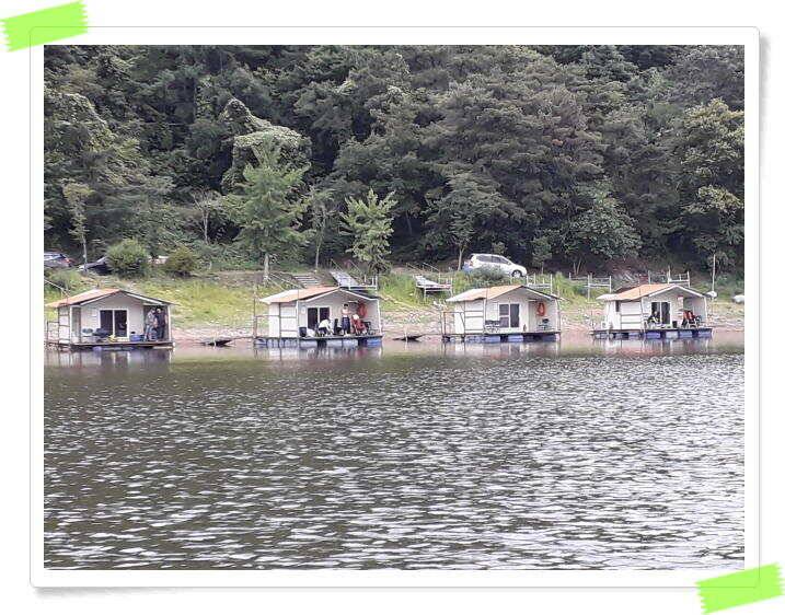 힐링 수곡낚시터 대박 붕어조황도 나와주고 꾸준합니다 오늘도 붕어방류 이어집니다 (유료터정보 - 유료터점주조황)