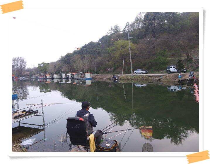 양평 수곡낚시터 주중 조황 및 축양붕어 방류 (유료터정보 - 유료터점주조황)