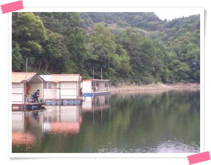 수곡낚시터 낮시간 오후시간 조황이 꾸준히 나와주네요 금일 붕어방류 완료 (유료터정보 - 유료터점주조황)