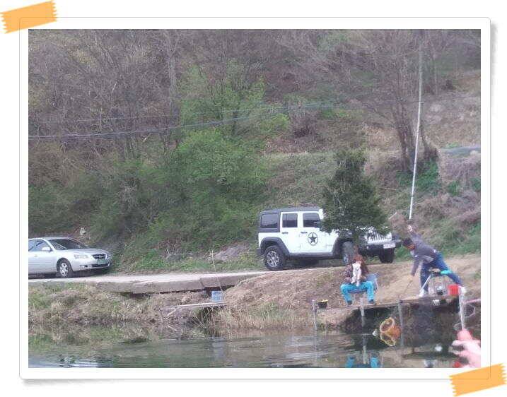 양평 수곡낚시터 주중 조황 및 축양붕어 방류 (유료터정보 - 유료터점주조황)