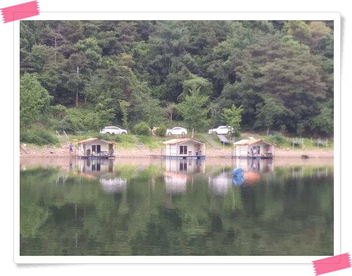 수곡낚시터 낮시간 오후시간 조황이 꾸준히 나와주네요 금일 붕어방류 완료 (유료터정보 - 유료터점주조황)