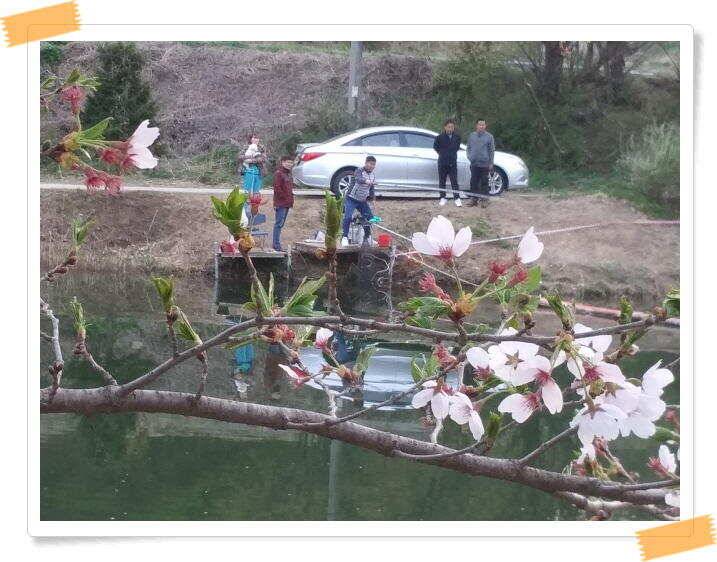 양평 수곡낚시터 주중 조황 및 축양붕어 방류 (유료터정보 - 유료터점주조황)