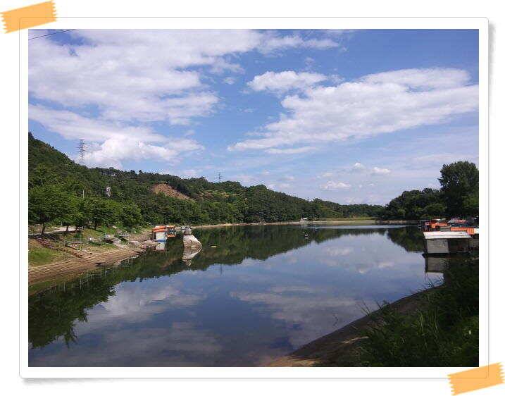 수곡낚시터 붕어낚시 조황 꾸준하게 나와줍니다 6월18일 조황 안내드립니다 (유료터정보 - 유료터점주조황)