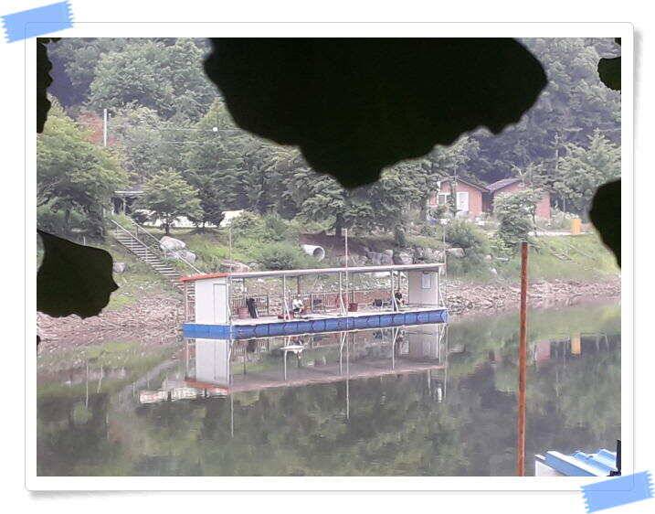 힐링 양평 수곡낚시터 주중조황 6월19일 및 붕어 방류 (유료터정보 - 유료터점주조황)