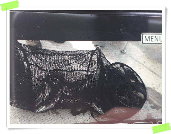 수곡낚시터 주중조황4월30일 낮시간 밤시간에 더 좋네요 (유료터정보 - 유료터점주조황)