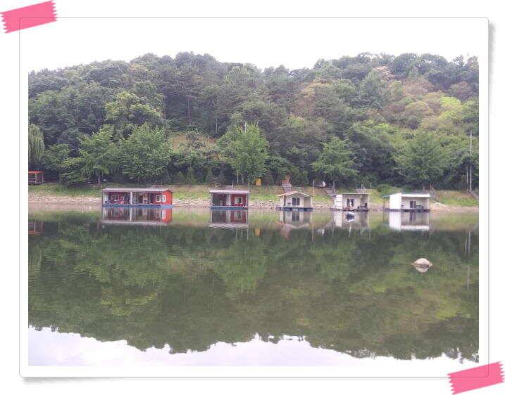 수곡낚시터 낮시간 오후시간 조황이 꾸준히 나와주네요 금일 붕어방류 완료 (유료터정보 - 유료터점주조황)