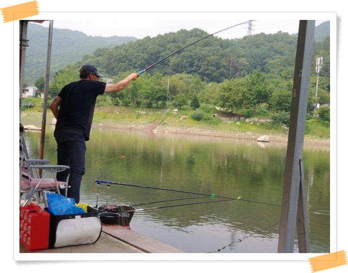 붕어낚시 양평 수곡낚시터 오늘 붕어 방류 및 조황 안내드려요 (유료터정보 - 유료터점주조황)