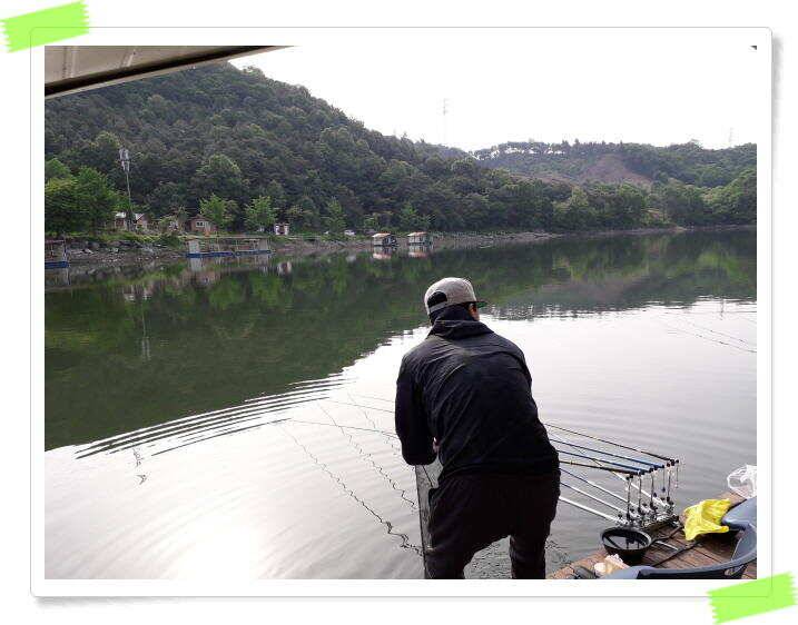 좌대낚시 노지낚시 붕어낚시 수곡낚시터 붕어방류 및 조황 안내 (유료터정보 - 유료터점주조황)