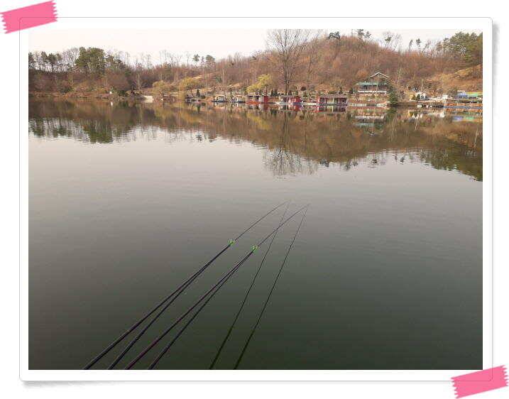 수곡낚시터 붕어조황 소식 4월 6일 (유료터정보 - 유료터점주조황)