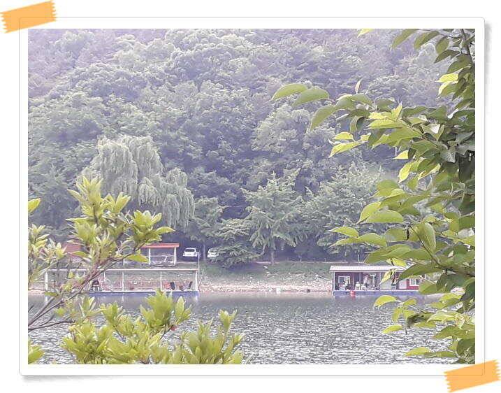 붕어낚시 양평 수곡 낚시터 일요일도 붕어낚시 조황 꾸준합니다 (유료터정보 - 유료터점주조황)